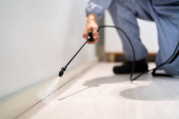 Licensed Pest Control service in Babbitt, MN - Show Me Pest Control